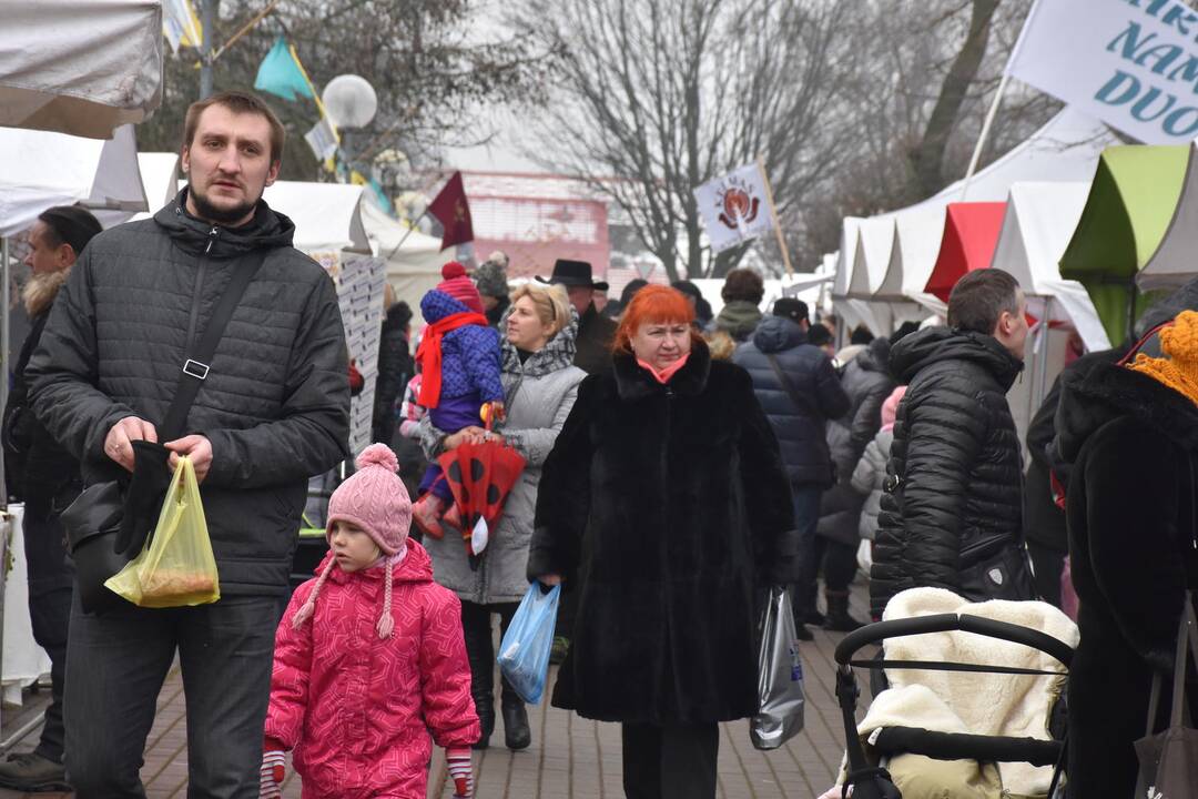 „Stintapūkio“ šventė Nidoje