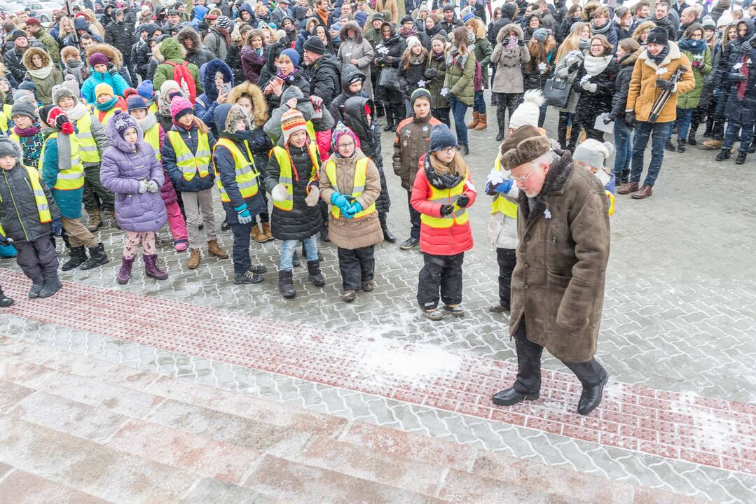 Simbolinė neužmirštuolių pieva Laisvės gynėjams