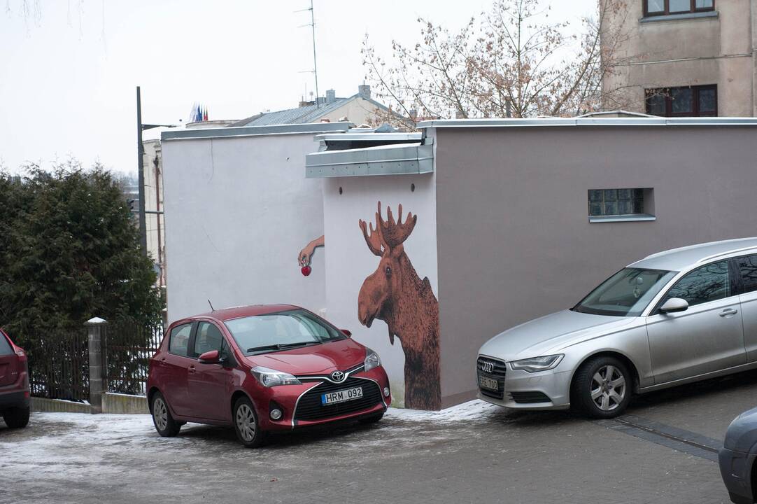 Piešti briedžiai Parodos kalno gatvėje