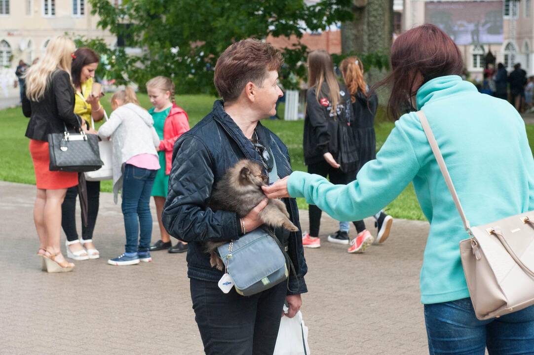 Mindauginės Raudondvario dvare