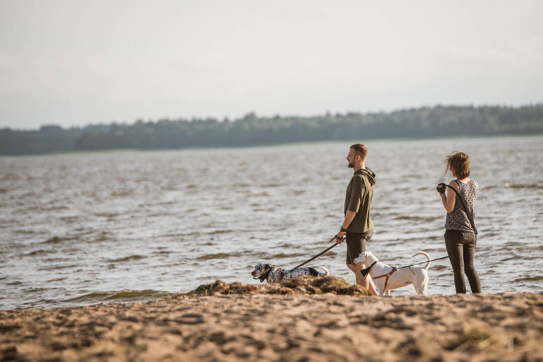 „Bliuzo naktų” pirmasis vakaras