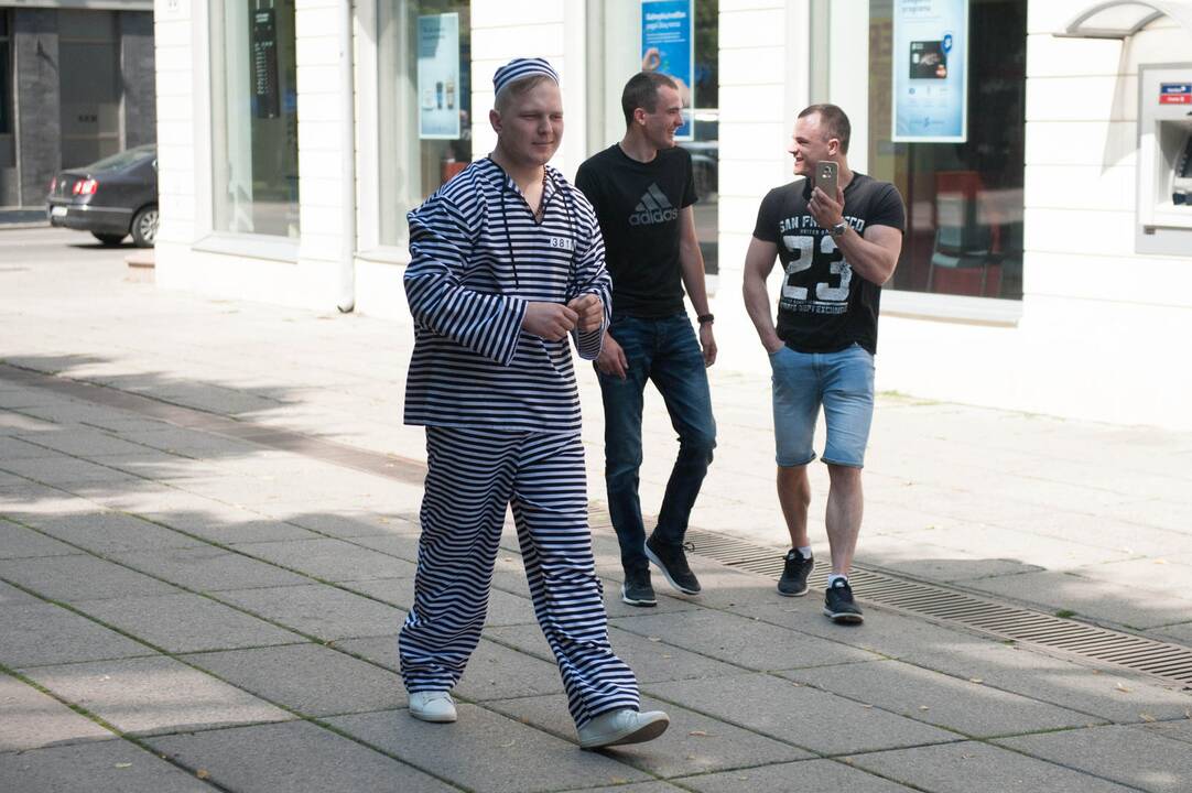 Žvilgsnis į Laisvės alėją