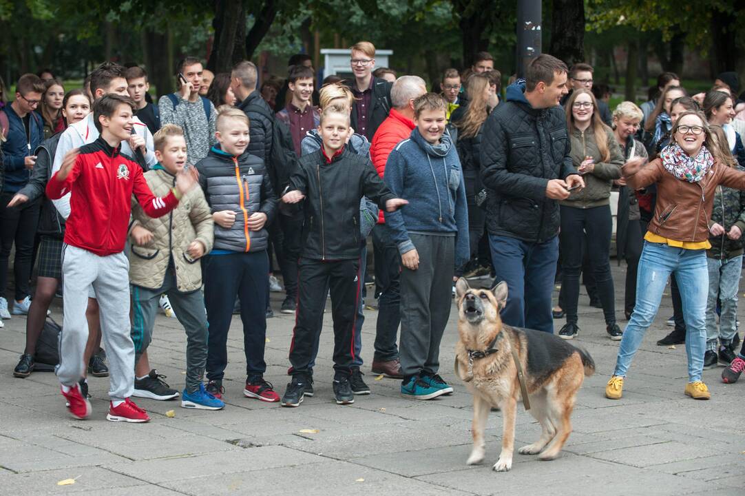 Kauno jaunimo dienų pradžia