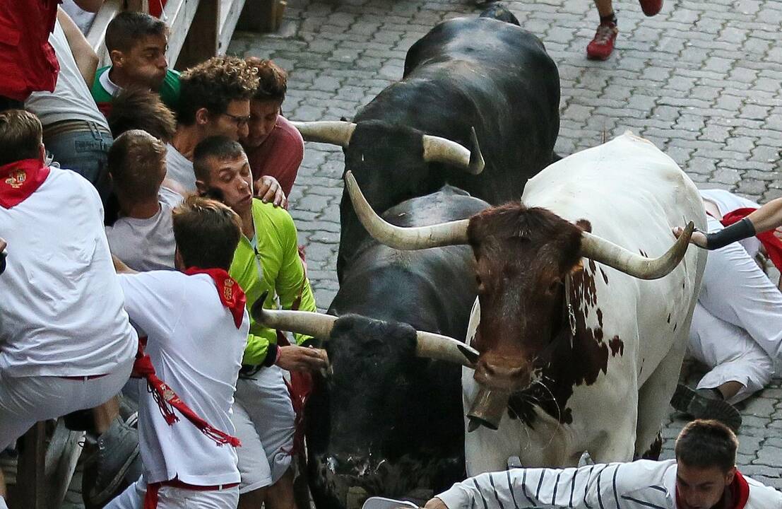 Pirmasis San Fermino festivalio bulių bėgimas