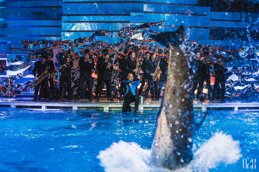 Projektas „Delfinai ir žvaigždės"