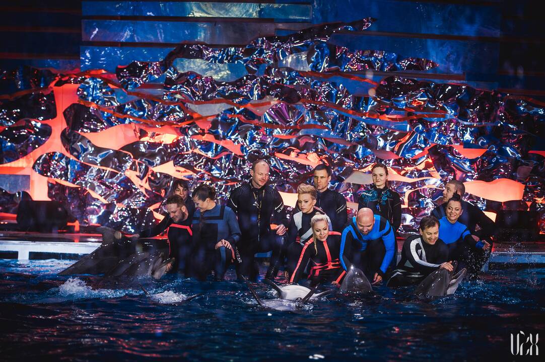 Projektas „Delfinai ir žvaigždės"