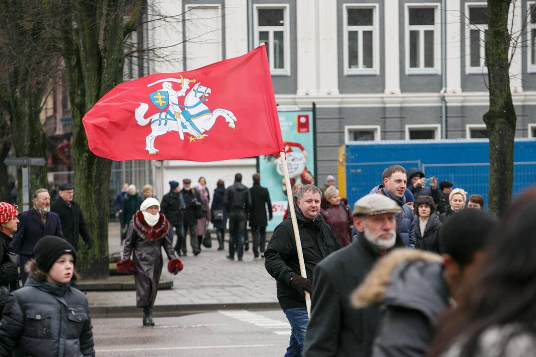 Jaunimo ir visuomeninių organizacijų eisena