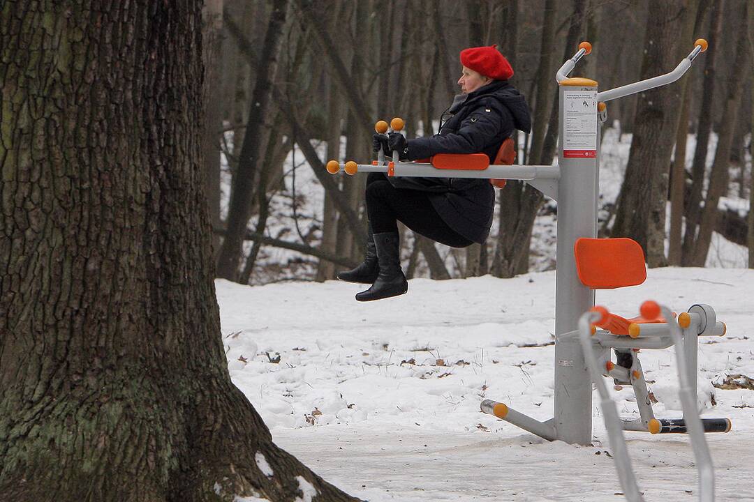 Kauno parkai žiemą