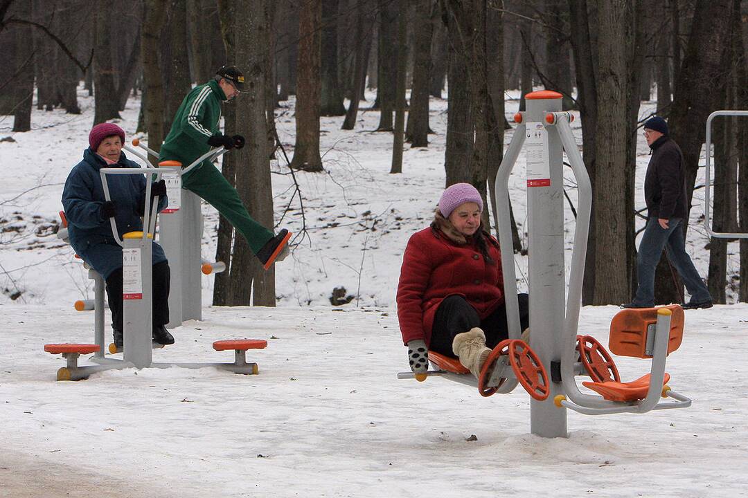 Kauno parkai žiemą