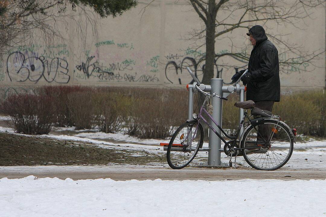 Kauno parkai žiemą