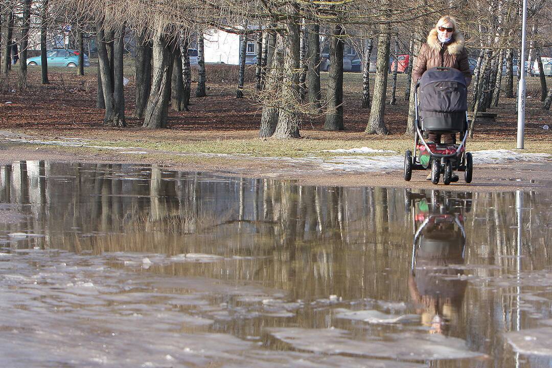 Pavasarinės balos Kauno gatvėse