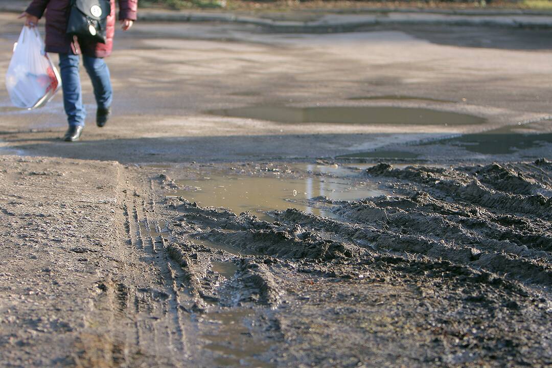 Pavasarinės balos Kauno gatvėse