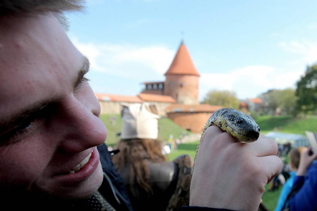 Kauniečiai gyvūnų globėjo šv. Pranciškaus dieną paminėjo Senamiestyje.