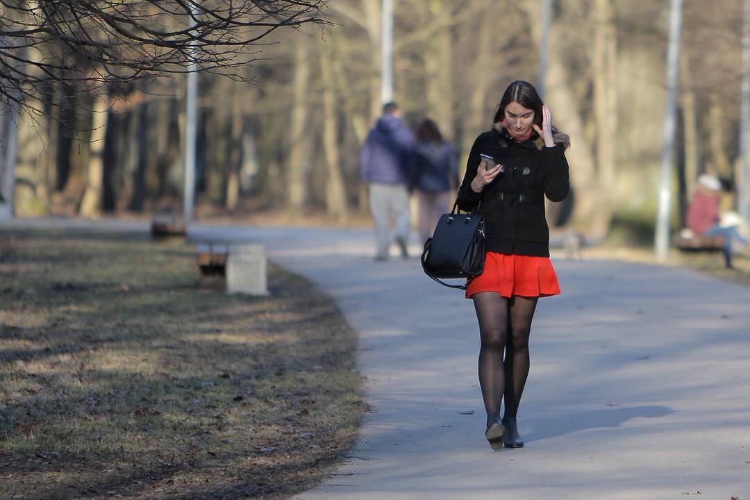 Į lauką – gaudyti saulės spindulių