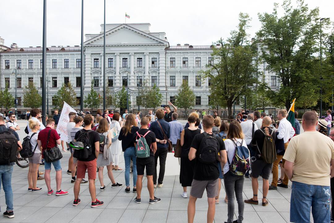 Vilniuje – mitingas dėl policijos neveiklumo