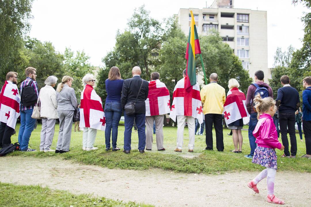 Mitingas prieš Gruzijos okupaciją