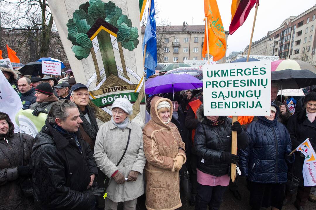 Prie Seimo mitinguotojai reikalavo didesnių algų ir pensijų