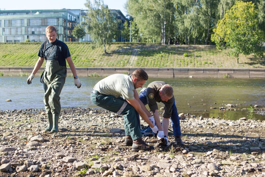 Neryje ir Vilnelėje daug šiukšlių