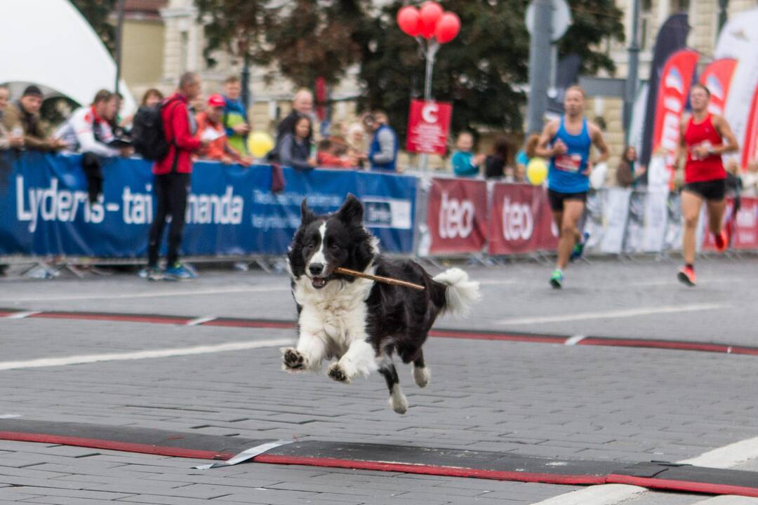 Vilniaus maratone triumfavo Etiopijos atstovas