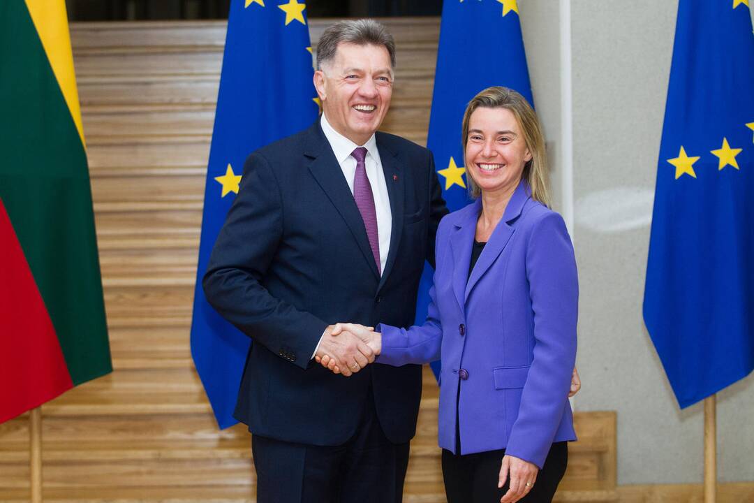 Premjeras susitiko su F. Mogherini