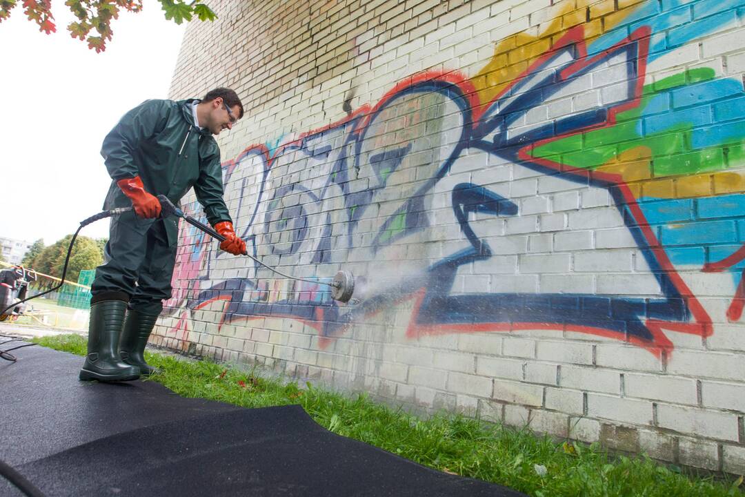 Prie Vilniaus licėjaus vyko „Terlionių išleistuvės“