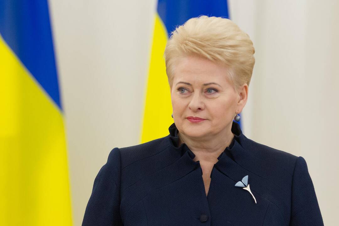 D. Grybauskaitė priėmė Ukrainos prezidentą