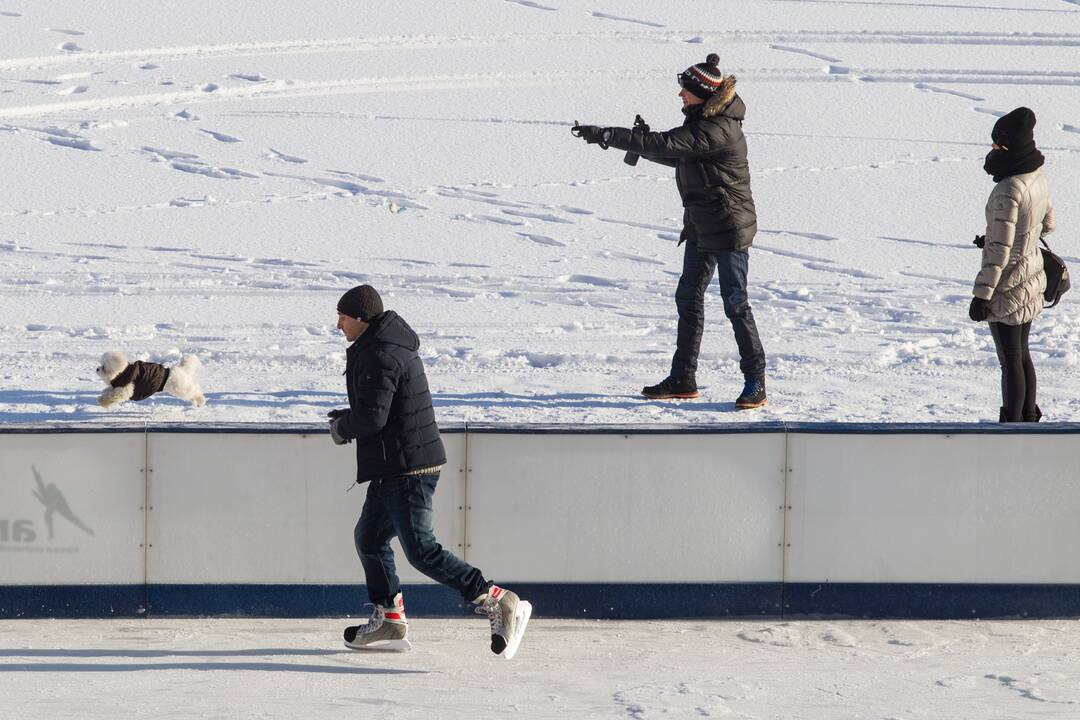 Vingio parke atidaryta čiuožykla