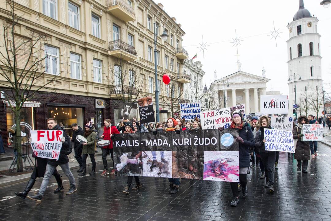 Pirmosios Lietuvoje eitynės už gyvūnus