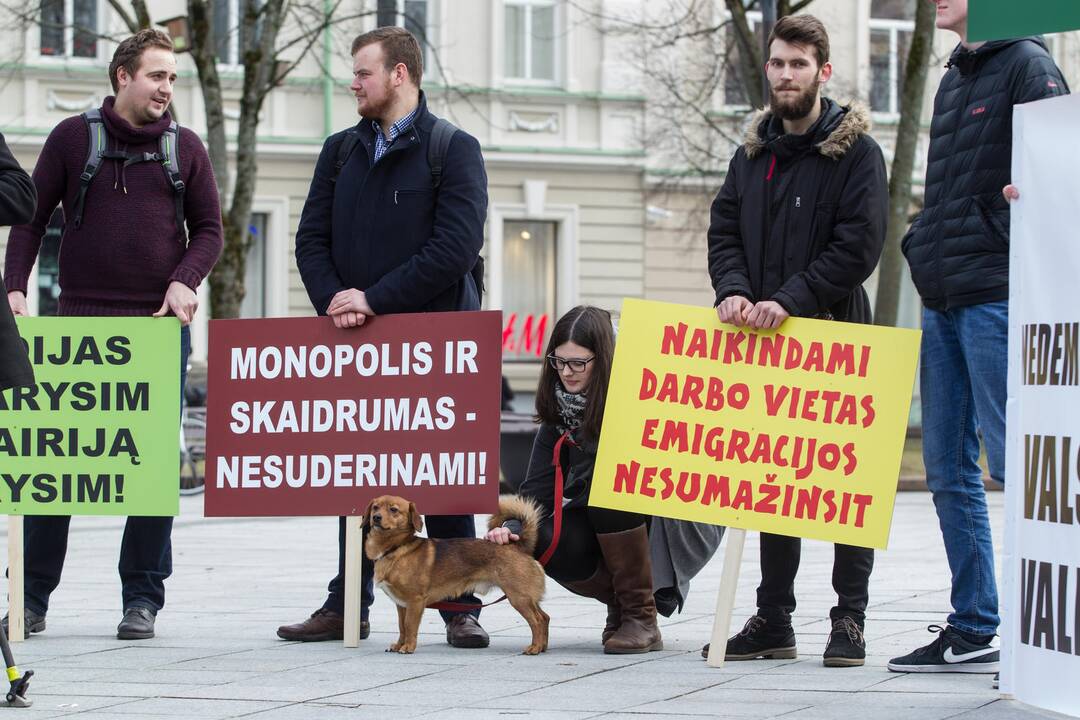 Protestas prieš miškų valdymo reformą