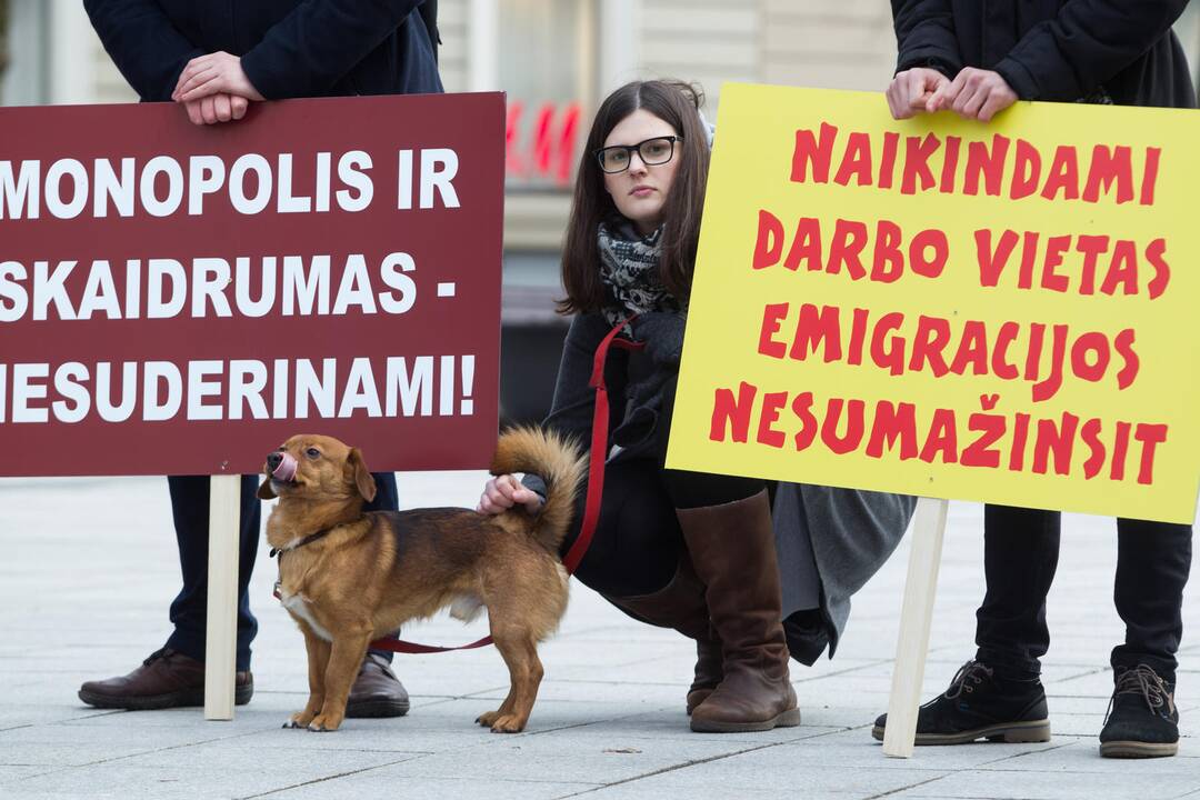 Protestas prieš miškų valdymo reformą