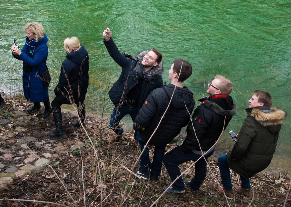 Šv. Patriko dienos minėjimas Vilniuje