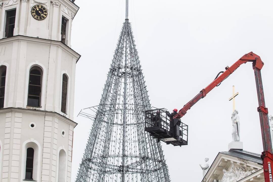 Katedros aikštėje ruošiama Kalėdų eglė