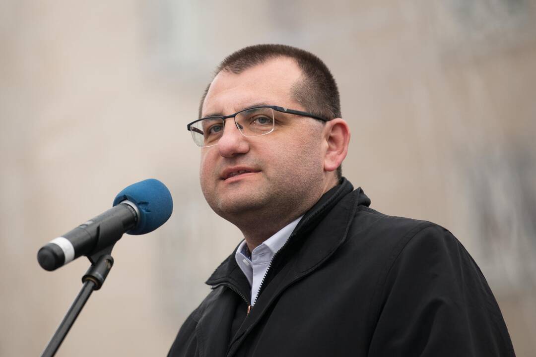 Medikų mitingas prie Seimo