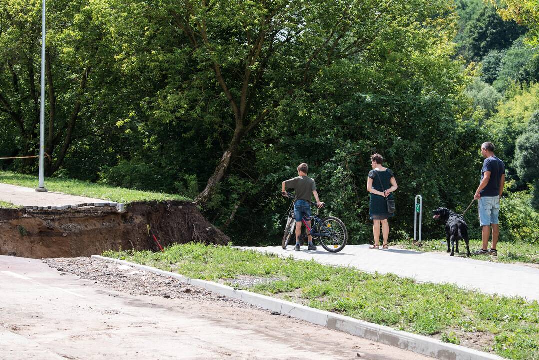 Dviračių tako nuošliauža P. Vileišio gatvėje