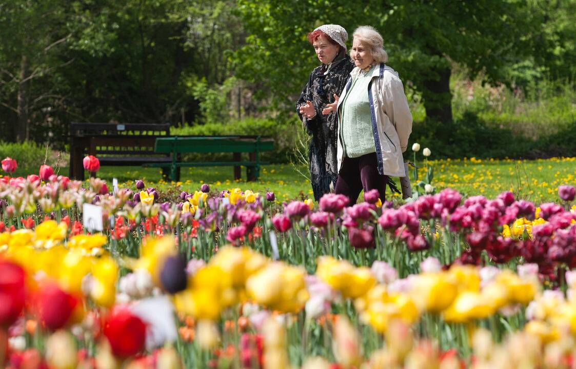 Kaune atidaromas atnaujintas Santarvės parkas