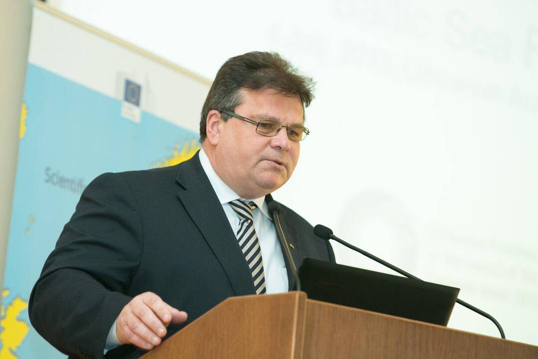 L. Linkevičius: kreipimasis į PPO dėl Rusijos veiksmų - EK kompetencija