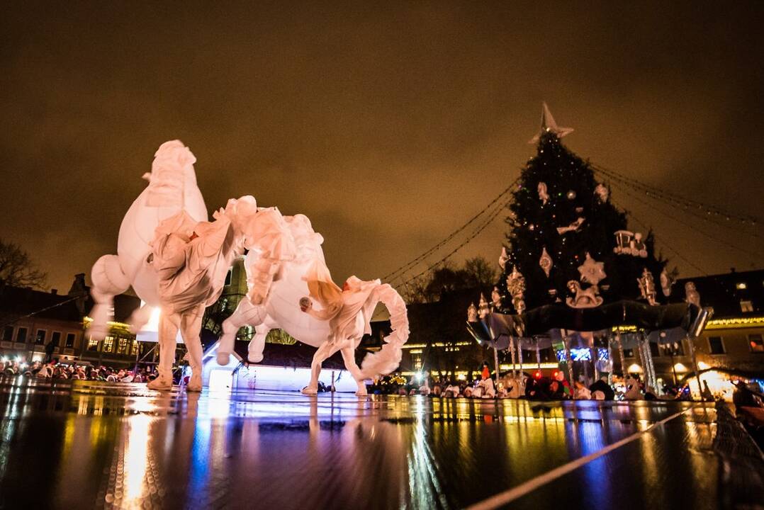 Kalėdų eglės įžiebimas