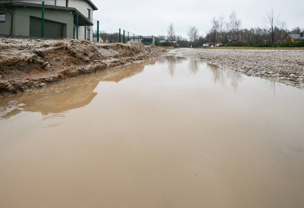 Balos Girios gatvėje