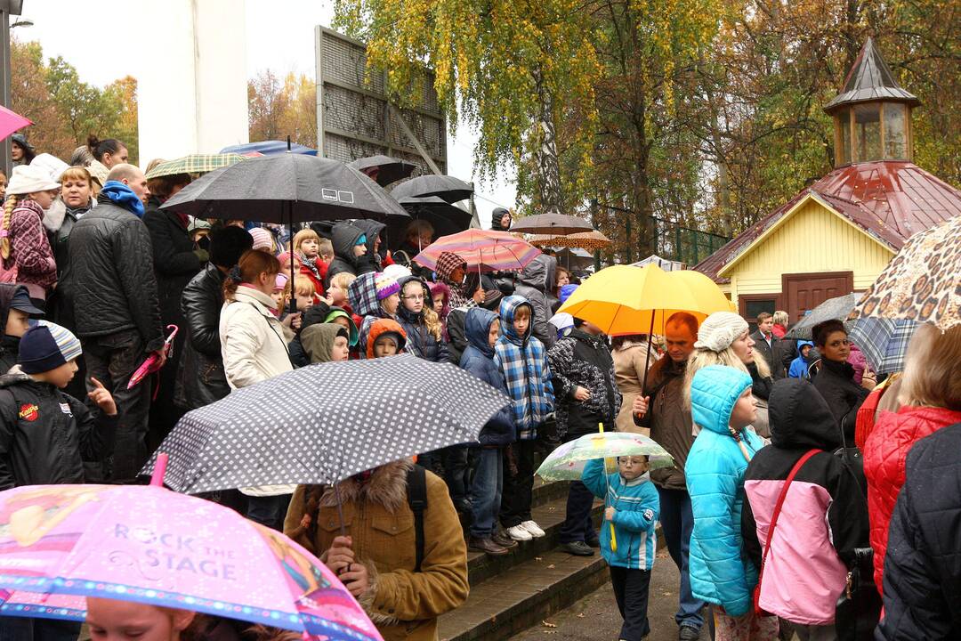 Gilių šventė zoologijos sode