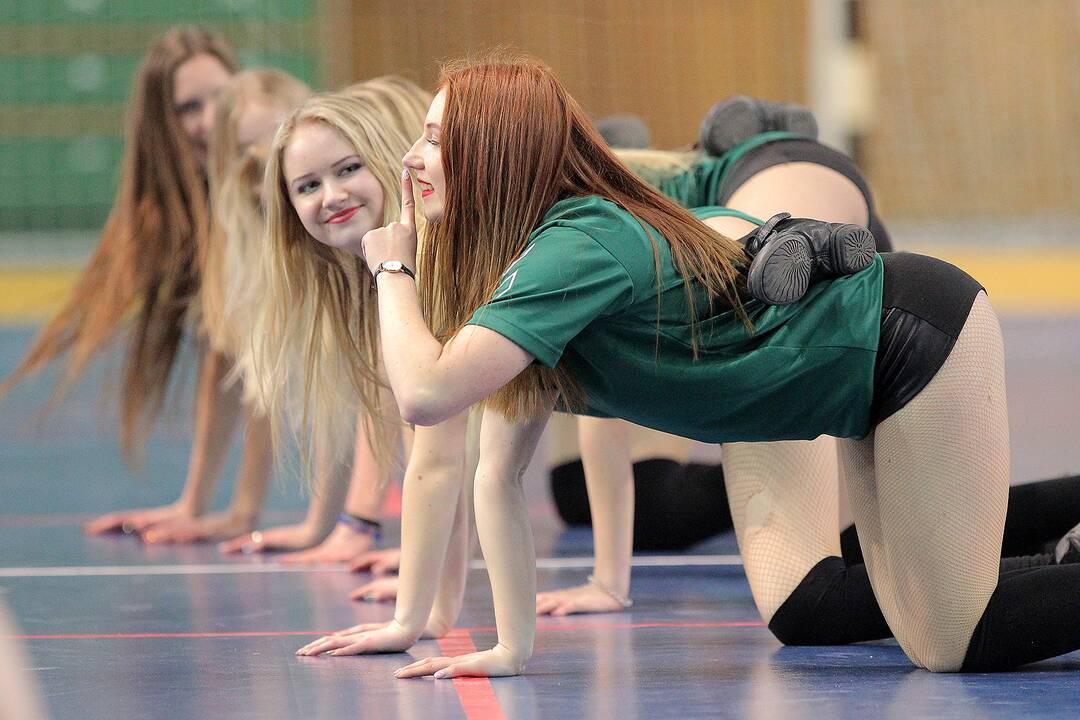 Rankinis: „Granitas-Karys“ – VHC „Šviesa“ 30:26