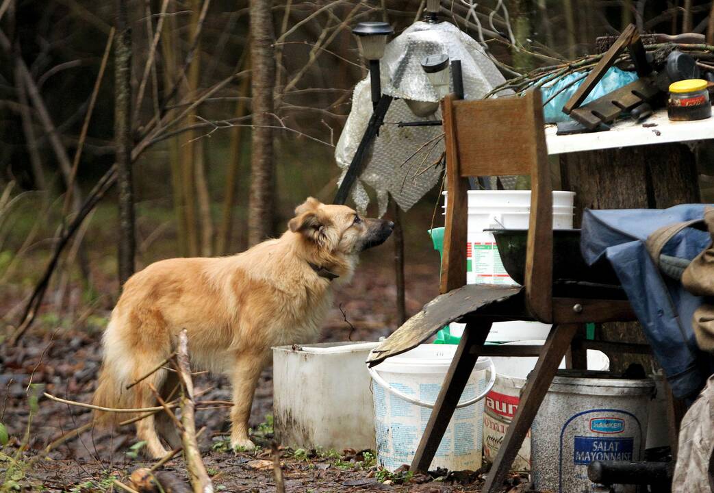 60-metis jau apie 20 metų vienas gyvena miškuose