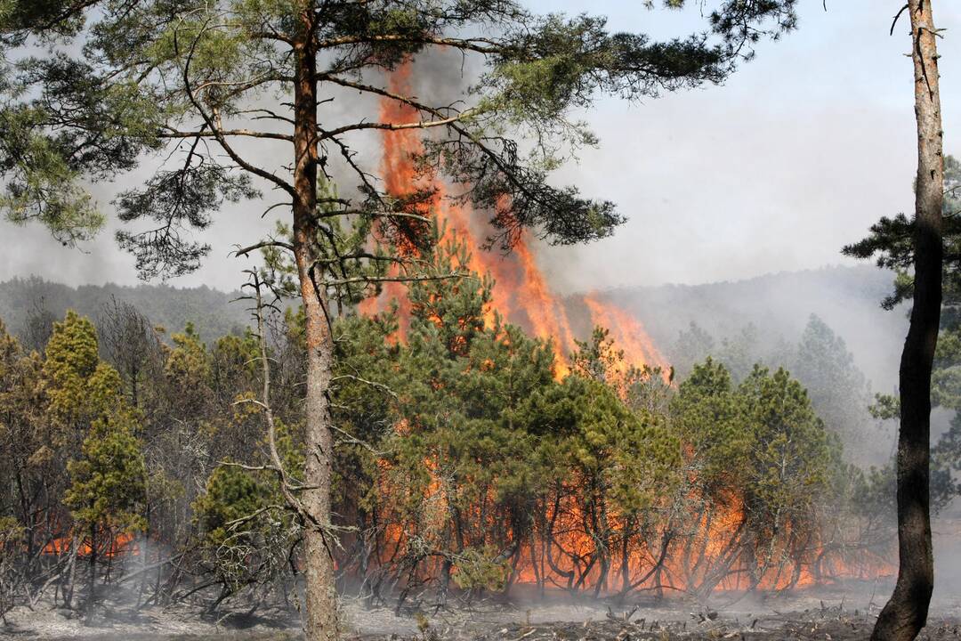 Gaisrų Lietuvoje mažėja, tačiau juose žūsta daug žmonių