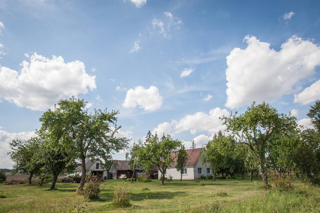 Garliavos apylinkių seniūnija
