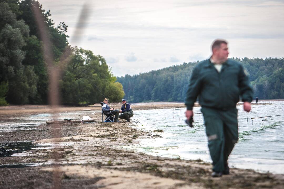 Aplinkosaugininkų reidas Kaune