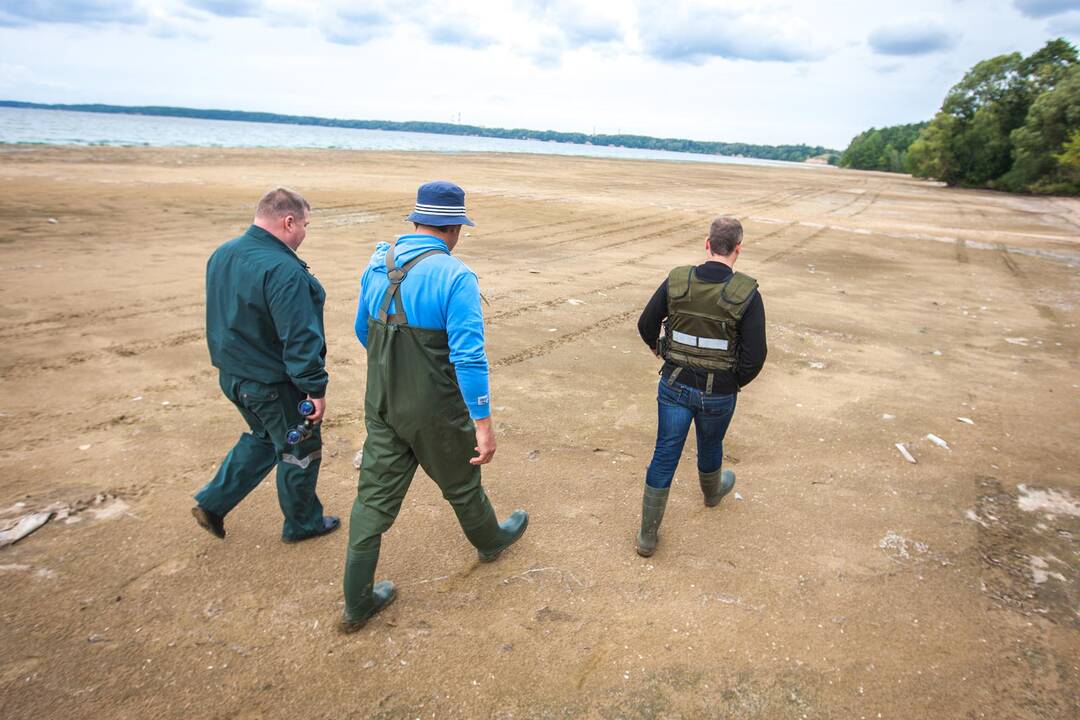 Aplinkosaugininkų reidas Kaune