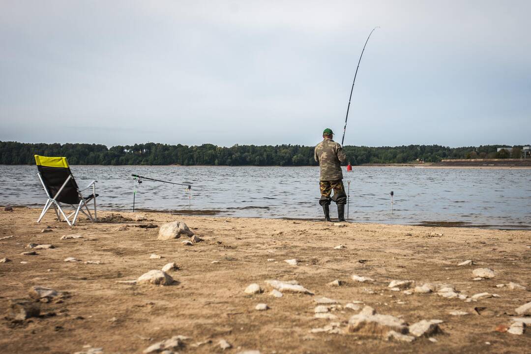 Aplinkosaugininkų reidas Kaune