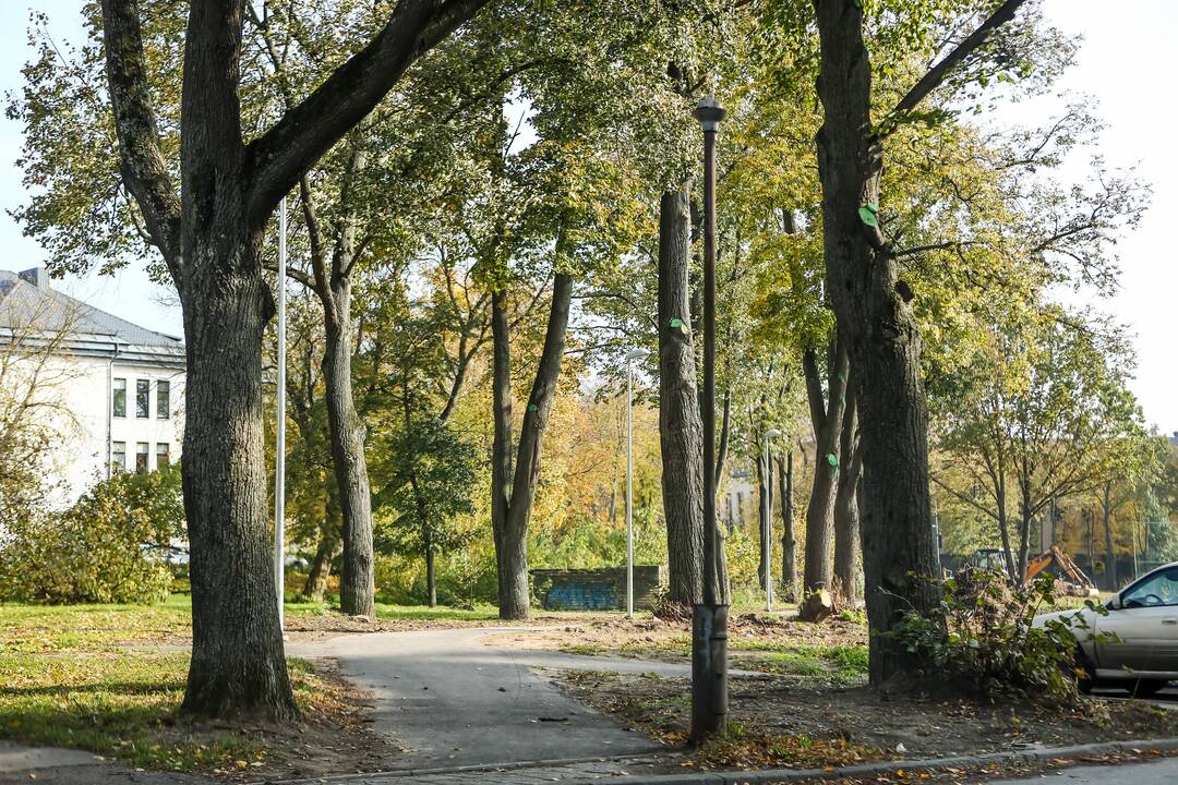 Naujas pėsčiųjų takas Kaune