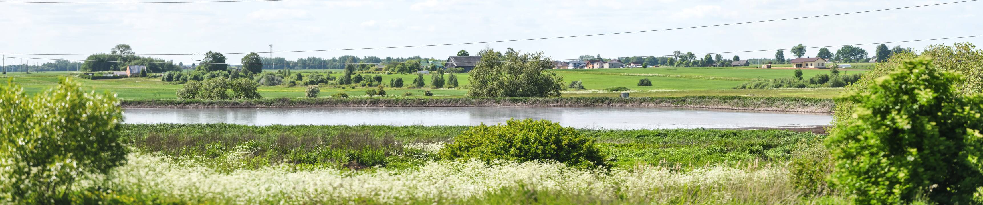 Gyvenimas šalia kiaulidžių