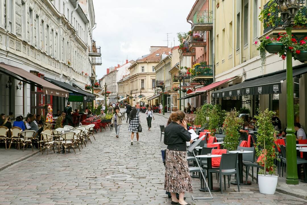 Pasivaikščiojimas po Vilniaus gatvę