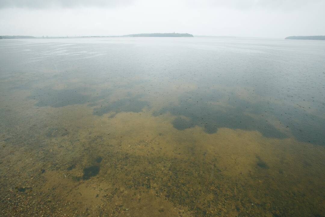 Kauno marių regioninis parkas